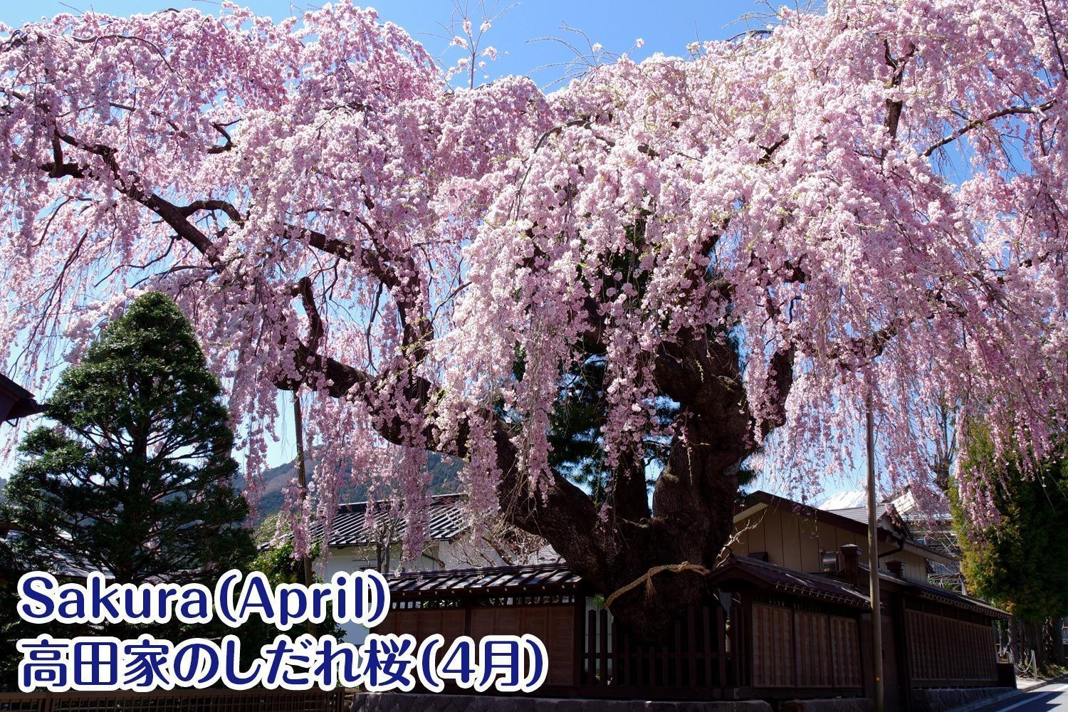 Nikko Stay House Arai - Vacation Stay 14994V Extérieur photo